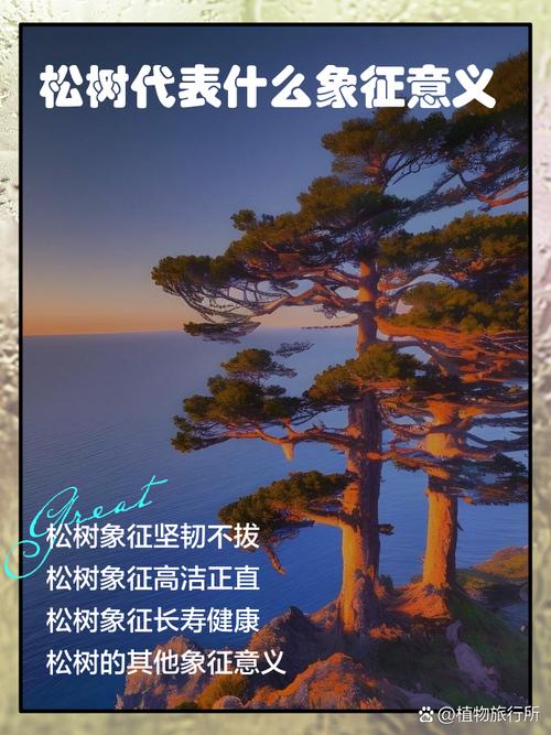 梦见松树丛的5大寓意揭秘及其生活启示