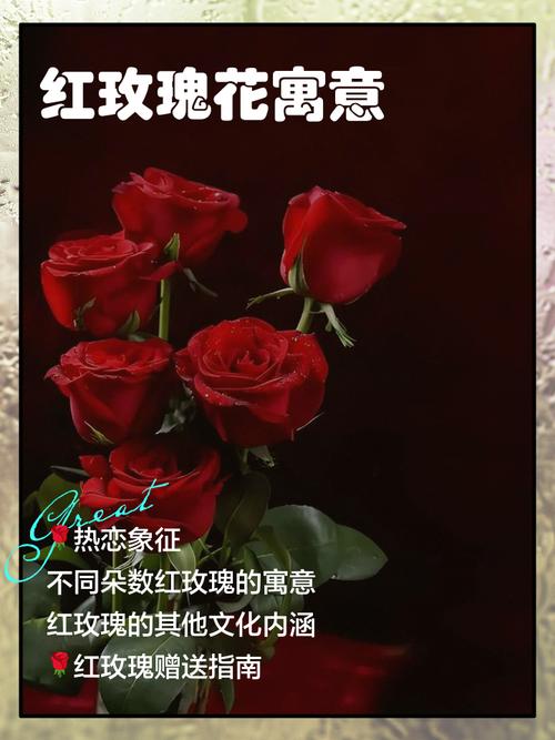 梦见红花意味着哪些？解读潜意识的秘密促进个人成长