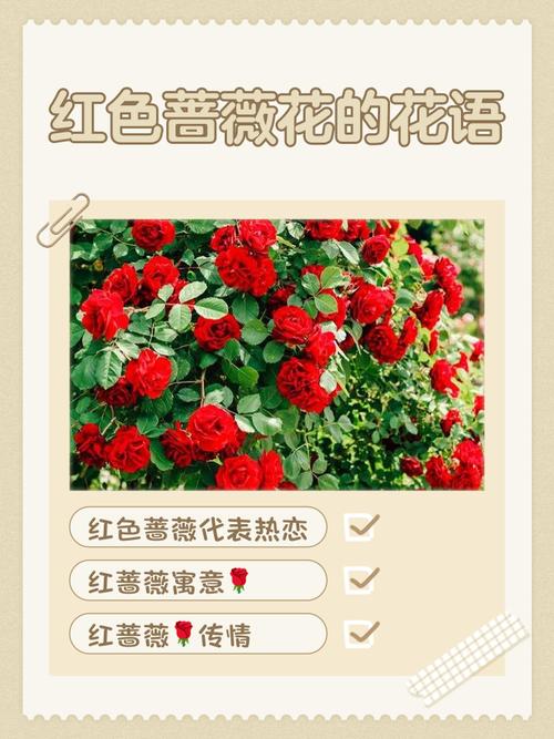 梦见红花意味着哪些？解读潜意识的秘密促进个人成长