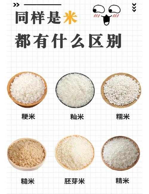 梦见大米的5种寓意解析,解读梦境背后的深层含义 梦见大米的5种寓意解析,解读梦境背后的深层含义