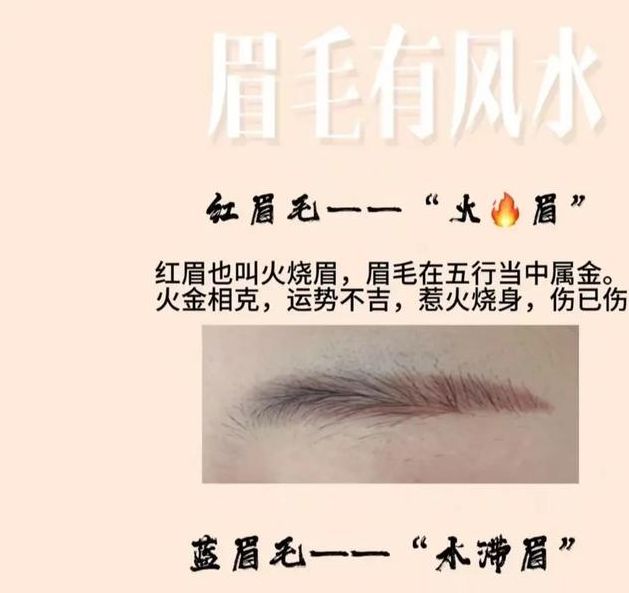 梦见画眉解析6个重要心理暗示及权威解读 梦见画眉解析6个重要心理暗示及权威解读