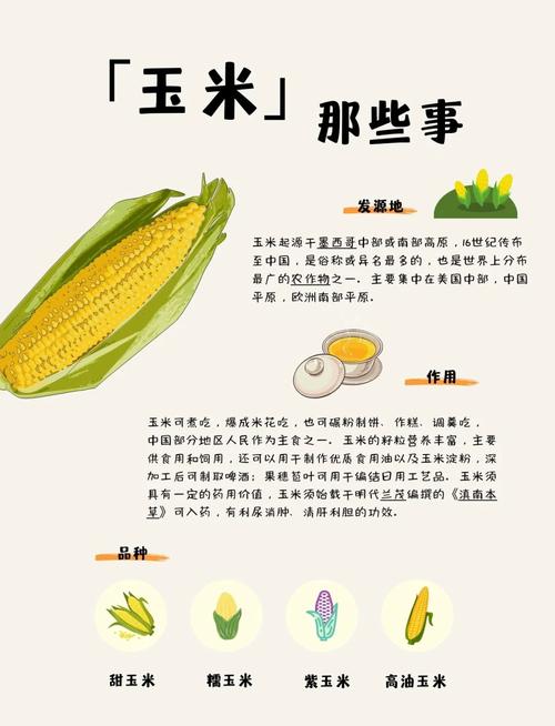 梦见玉米深度解析揭示背后的象征与心理暗示