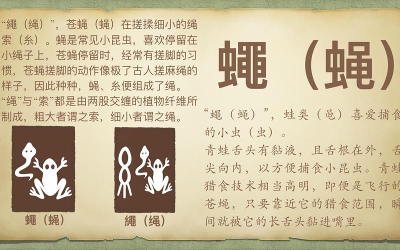 梦见苍蝇的深层心理解读揭示生活启示与积极应对方法 梦见苍蝇的深层心理解读揭示生活启示与积极应对方法