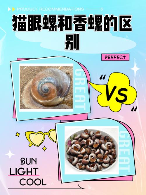 梦见海螺寓意与心理探索梦境解读 vs 潜意识发现 梦见海螺寓意与心理探索梦境解读 vs 潜意识发现