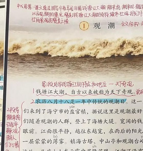 如何解读梦见涨潮心理分析与生活启示 如何解读梦见涨潮心理分析与生活启示