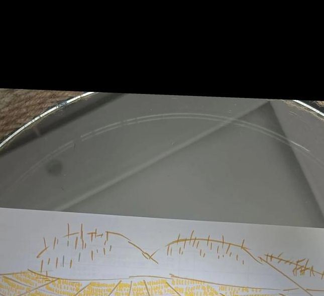 梦见黄色预示着哪些？揭示梦境中的神秘含义