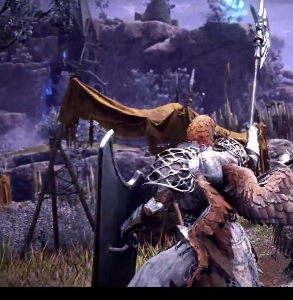 艾尔登法环：黑夜君临守护者预告解析 - 如何在大鹏鸟挑战中脱颖而出，获得游戏内稀有奖励技巧分享！