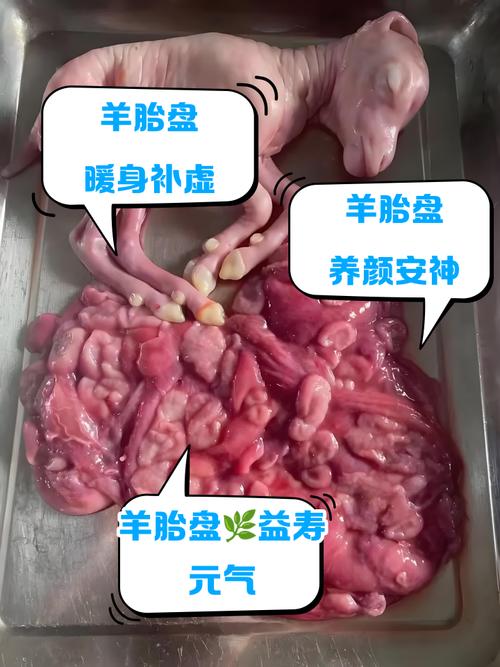 解梦专家揭秘梦见小羊羔意味着哪些及其影响 解梦专家揭秘梦见小羊羔意味着哪些及其影响