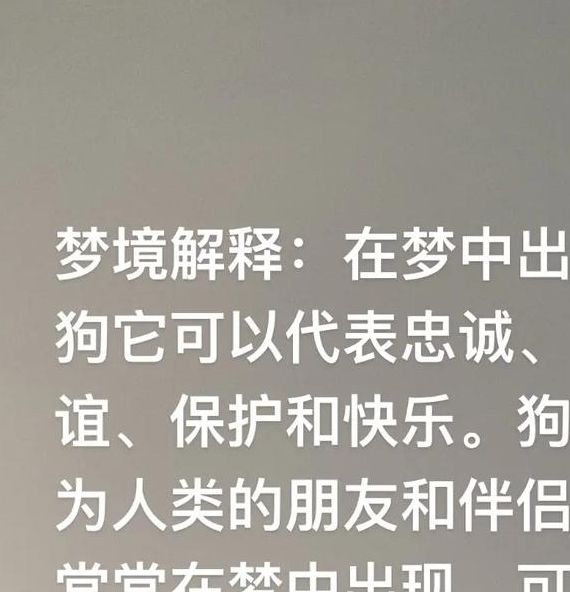 梦见猎犬象征含义深远,解读背后心理影响引发共鸣! 梦见猎犬象征含义深远,解读背后心理影响引发共鸣!
