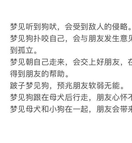 梦见猎犬象征含义深远,解读背后心理影响引发共鸣! 梦见猎犬象征含义深远,解读背后心理影响引发共鸣!