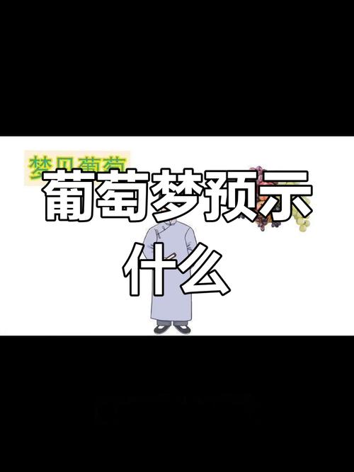 梦见葡萄园象征意义 vs 现实启示解读梦境背后的深层含义 梦见葡萄园象征意义 vs 现实启示解读梦境背后的深层含义