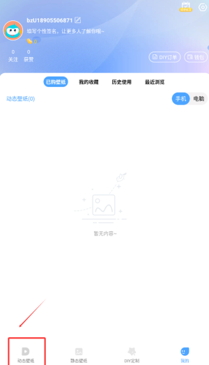 高效设置小鸟壁纸攻略：轻松掌握核心技巧