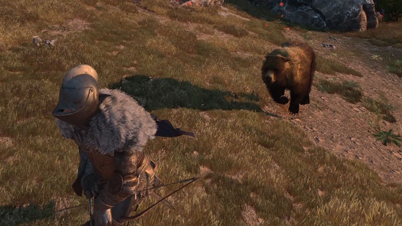 全新生物来袭！如何在颂钟长鸣大型更新中征服哈尔玛尔群岛？