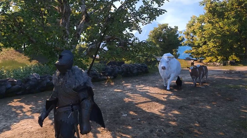 全新生物来袭！如何在颂钟长鸣大型更新中征服哈尔玛尔群岛？