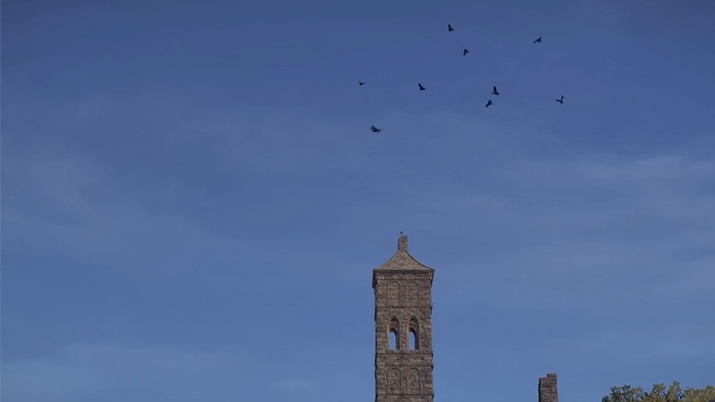 全新生物来袭！如何在颂钟长鸣大型更新中征服哈尔玛尔群岛？