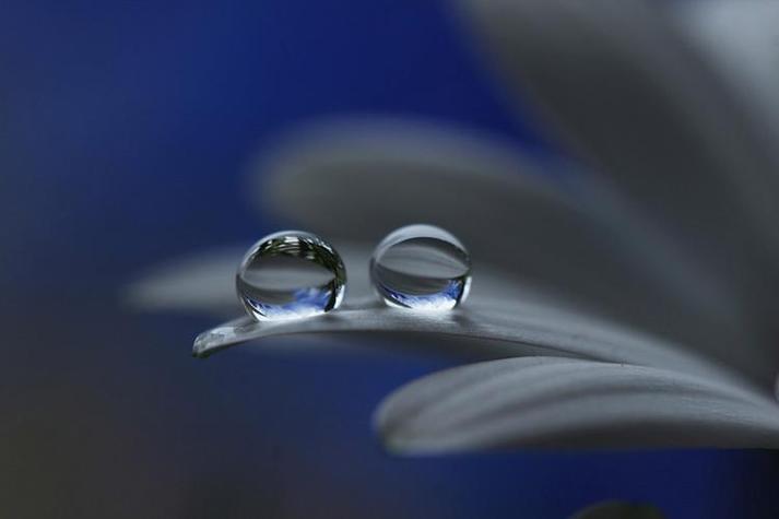 梦见露珠的5个象征意义及心理解读技巧
