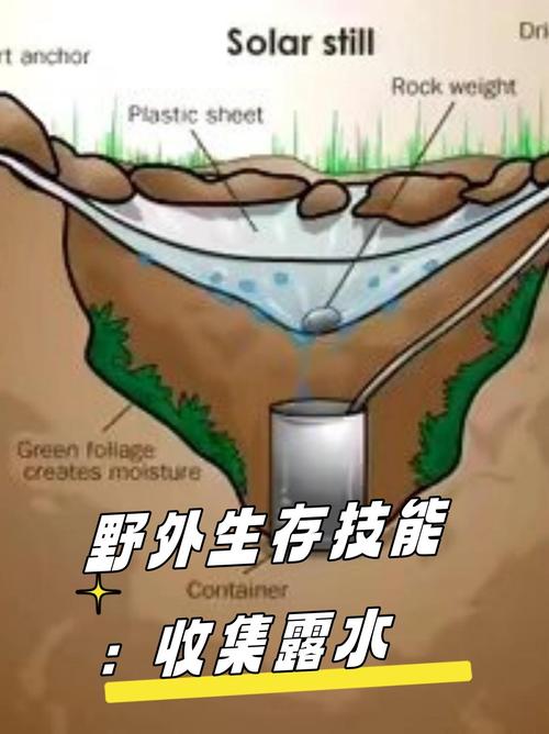 如何高效采集水资源?探索〈沙丘:觉醒〉中的采水技巧与利弊 如何高效采集水资源?探索〈沙丘:觉醒〉中的采水技巧与利弊