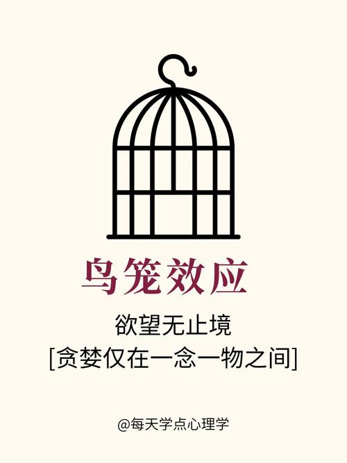 梦见筑巢象征的深层意义探索未知的内心安宁之旅