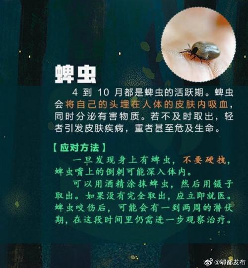 梦见毒虫暗示哪些秘密?揭开心理深层解析 梦见毒虫暗示哪些秘密?揭开心理深层解析