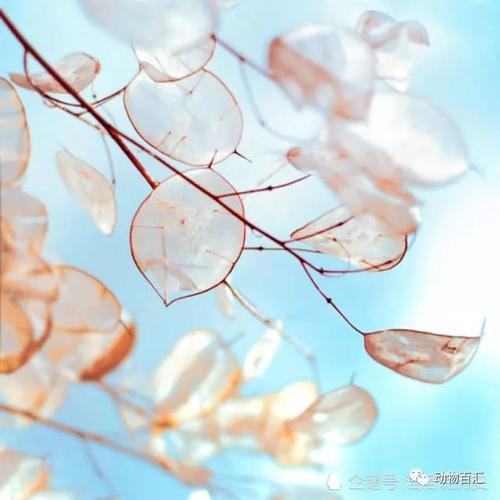 解梦6个关于梦见高尔夫球的心理暗示及解析