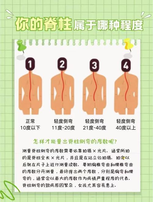 梦见脊椎的象征意义与心理解析，改善生活质量