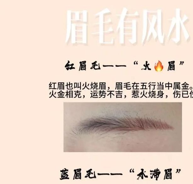 梦见剪眉毛解读5种常见寓意与心理分析