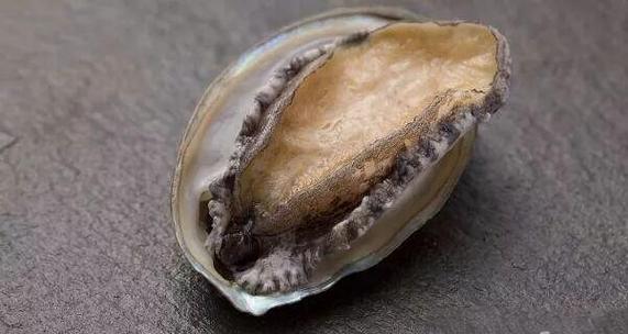 梦见鲍鱼意味着哪些？揭示内心渴望的高效解决方案