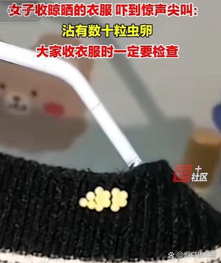 梦见晾晒衣服的背后暗示潜意识如何影响你的生活？