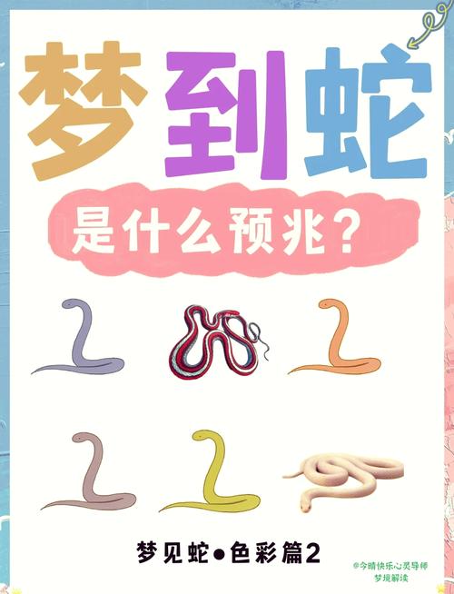 梦见花蛇预示着哪些？解读神秘寓意的背后玄机