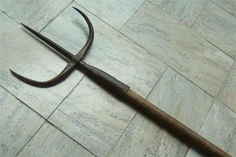 梦见三股叉象征哪些？解析隐藏心理状态及生活启示！