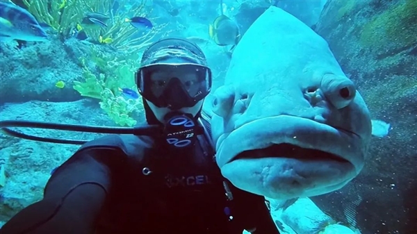 史上第一条战胜癌症的鱼！2次患癌均被化疗治愈