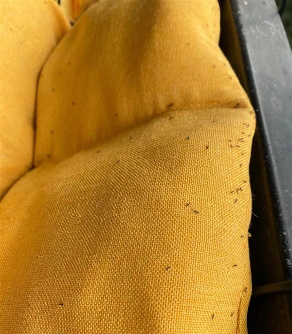 紧急提醒：最近不要穿这种颜色的衣服出门！