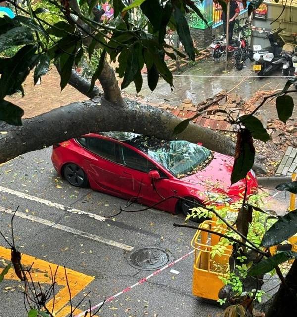 陶琳：特斯拉的安全经受住了各种实战考验