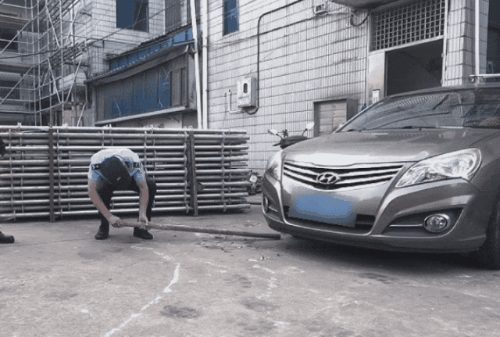 苏州一小区惊现动物界“冷血杀手” 1米长鳄鱼藏身车底