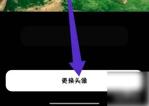猫箱头像更换攻略:高效解决方案及步骤详解 猫箱头像更换攻略:高效解决方案及步骤详解