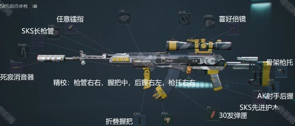 揭秘：三角洲行动S4赛季SKS射手步枪高改方案究竟有何过人之处？
