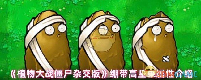 植物大战僵尸杂交版攻略:高坚果绷带属性深度解析与实战技巧 植物大战僵尸杂交版攻略:高坚果绷带属性深度解析与实战技巧