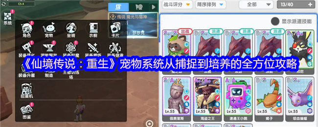 你掌握宠物培养秘籍了吗？仙境传说：重生全方位攻略解析